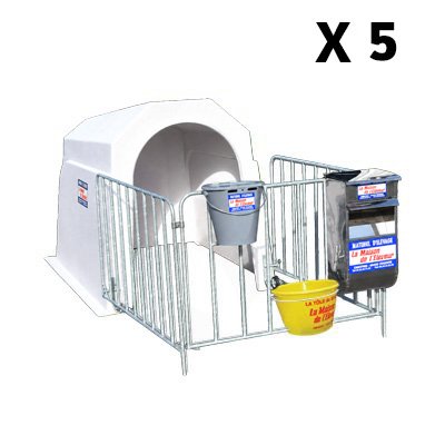 Niche à veau confort 1 place avec courette et porte-seau (lot de 5)